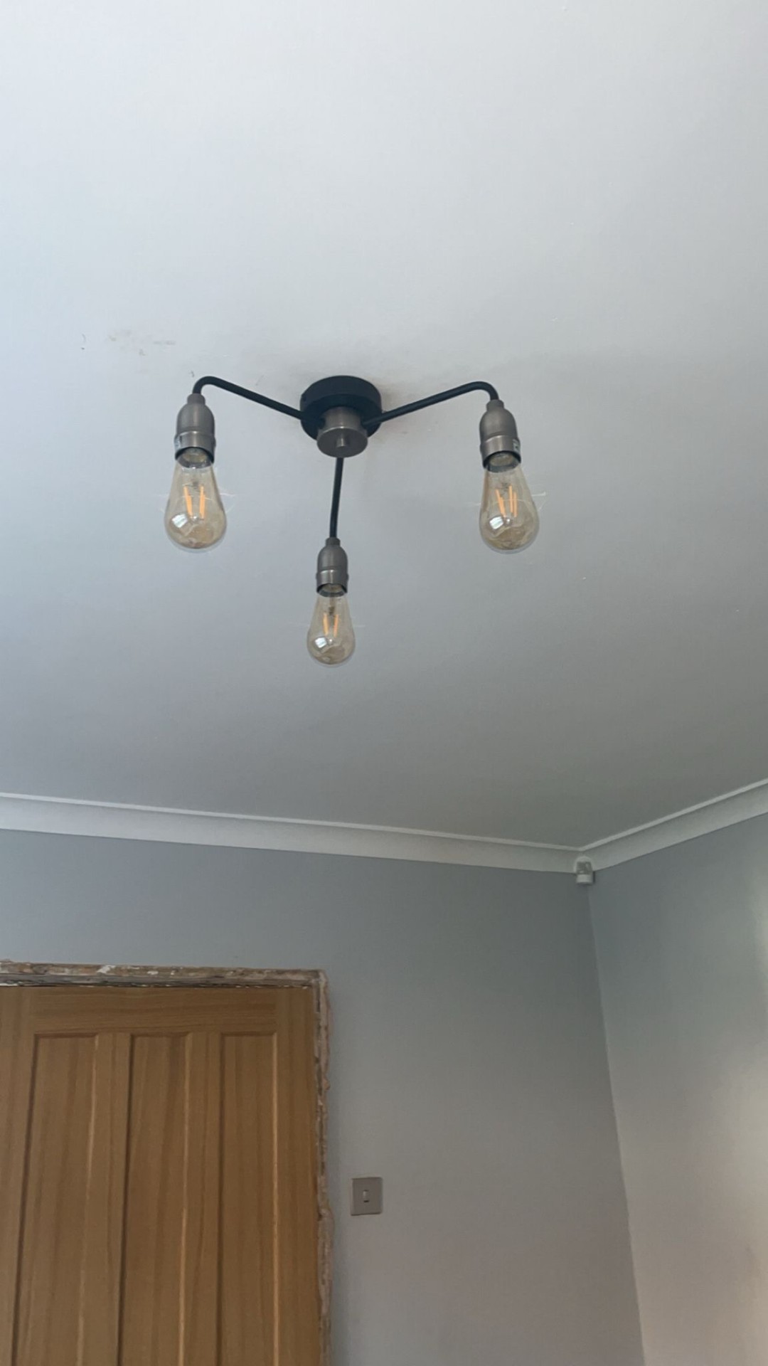 Industrial-style Edison bulb ceiling light